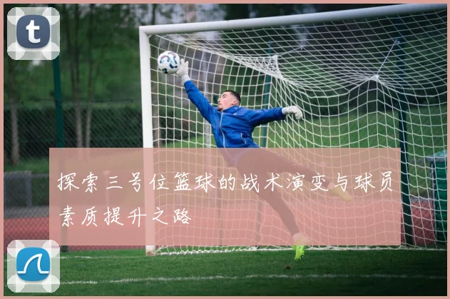 探索三号位篮球的战术演变与球员素质提升之路
