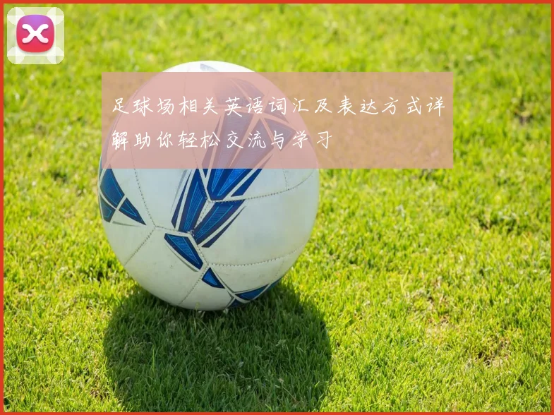足球场相关英语词汇及表达方式详解助你轻松交流与学习