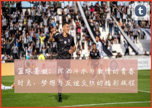 篮球暑假：挥洒汗水与激情的青春时光，梦想与友谊交织的精彩旅程