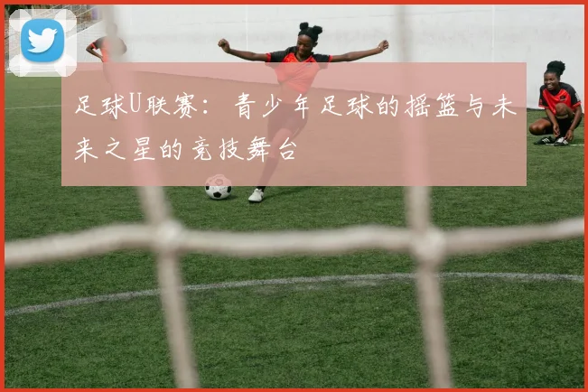 足球U联赛：青少年足球的摇篮与未来之星的竞技舞台