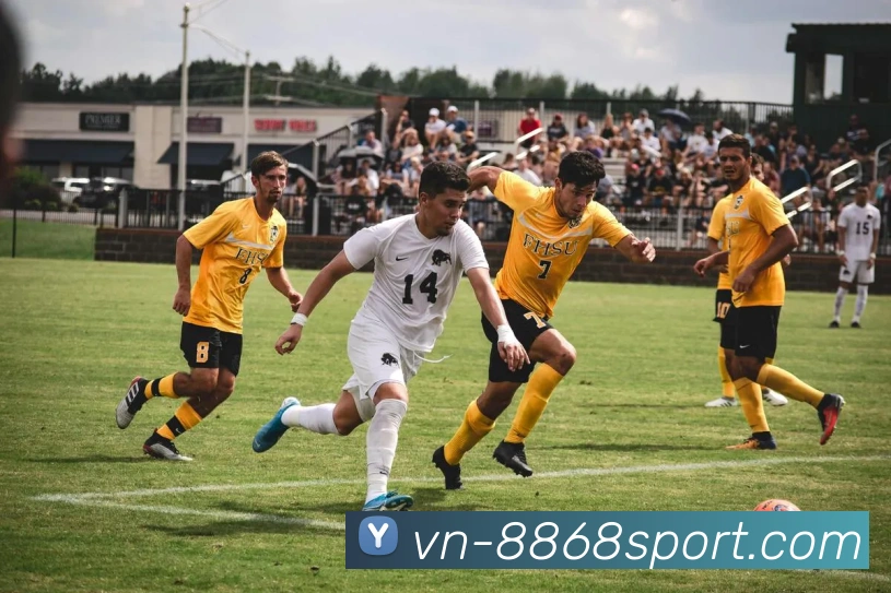 8868体育APP 封面图